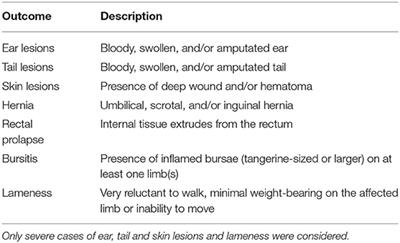 Assessment of Animal-Based Pig Welfare Outcomes on Farm and at the Abattoir: A Case Study